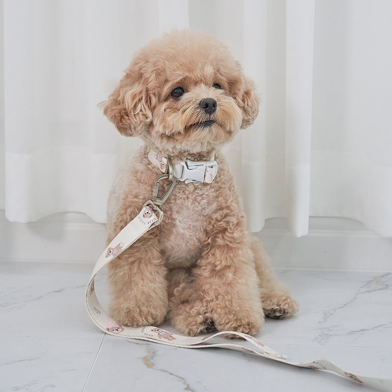 韓國新品上架【梨花娘總代理】🐾BAILEY 🐶秋冬新品 馬卡龍柔軟色系小熊圖案寵物牽繩(3色)