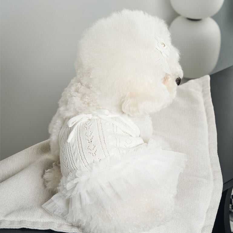 韓國新品上架【梨花娘總代理】🐾BAILEY 🐶秋冬新品 針織拼接蕾絲氣質優雅花朵芭蕾舞裙寵物服飾(2色)