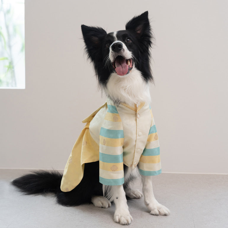 韓國新品上架【梨花娘總代理】🐾BAILEY 🐶秋冬新品 皇室公主刺繡百褶裙寵物韓服(2色)