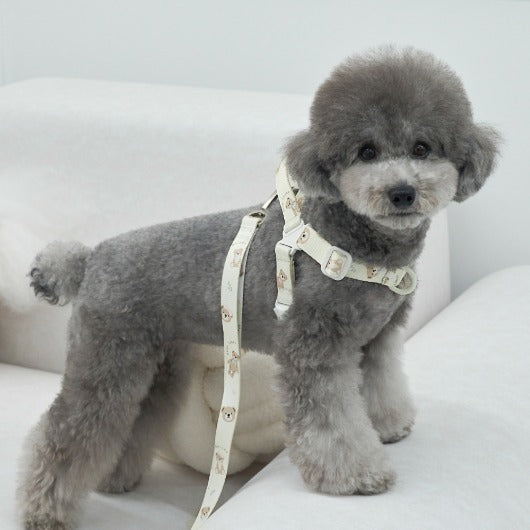 韓國新品上架【梨花娘總代理】🐾BAILEY 🐶秋冬新品 馬卡龍柔軟色系小熊圖案寵物胸背帶(3色)
