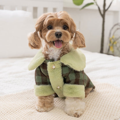 韓國新品上架【梨花娘總代理】🐾BAILEY 🐶秋冬新品 格子翻領珍珠鈕釦保暖寵物毛衣(2色)