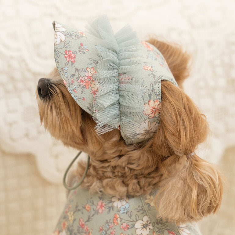 韓國新品上架【梨花娘總代理】🐾BAILEY 🐶新品 溫柔蕾絲荷葉法式小碎花寵物蓬蓬裙+牽引繩(2色)
