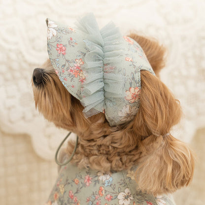 韓國新品上架【梨花娘總代理】🐾BAILEY 🐶新品 溫柔蕾絲荷葉法式小碎花寵物蓬蓬裙+牽引繩(2色)