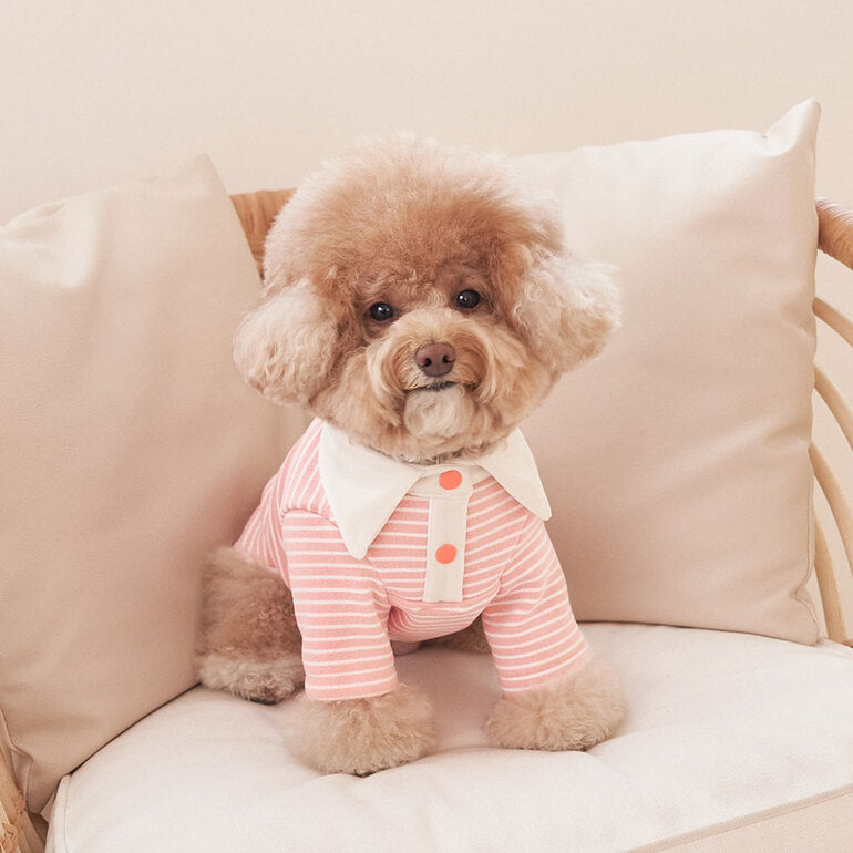韓國新品上架【梨花娘總代理】🐾BAILEY 🐶秋冬新品 條紋翻領柔棉立體徽章刺繡寵物服飾(3色)