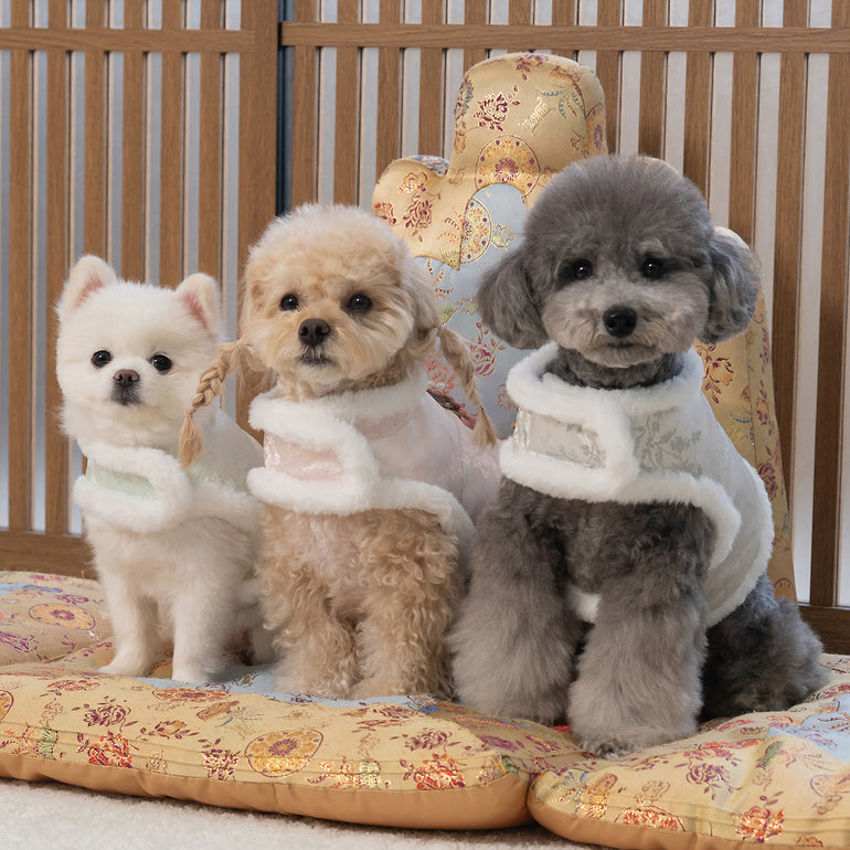 【梨花娘總代理】🐾BAILEY 🐶韓國雪花保暖鋪棉寵物宮廷刺繡棉背心(可另購耳罩(3色))