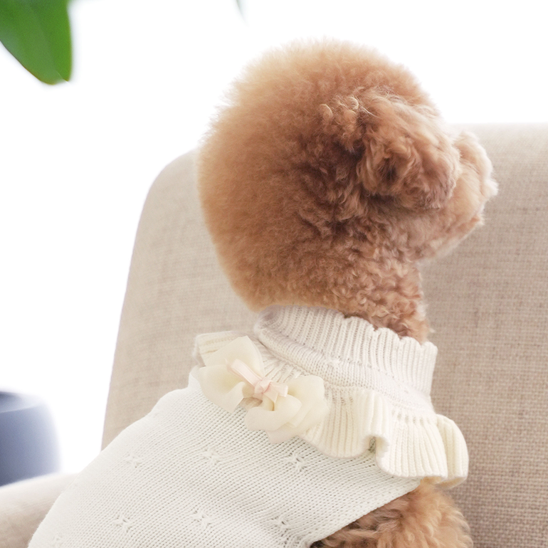 韓國新品上架【梨花娘總代理】🐾BAILEY 🐶韓系柔霧紗感寵物蝴蝶結別針(3色)