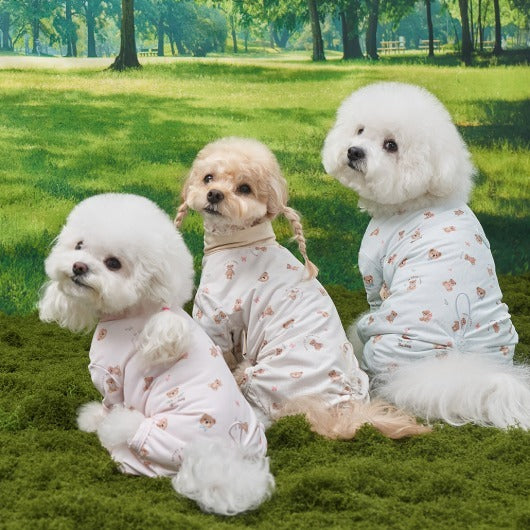 💕【梨花娘總代理】🐾韓國BAILEY 🐶夏日機能冰涼降溫滿版小熊透氣水陸兩用寵物連身衣(3色)