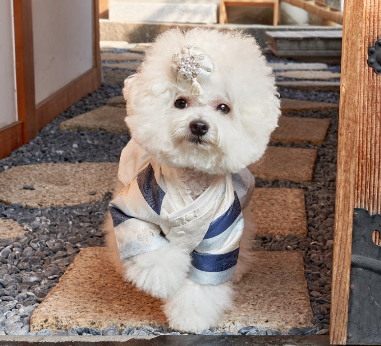 韓國新品上架【梨花娘總代理】🐾BAILEY 🐶韓系華麗宮庭風珍珠流蘇寵物髮夾(9色)