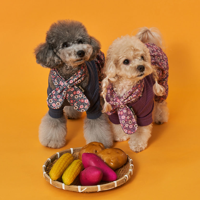 韓國新品上架【梨花娘總代理】🐾BAILEY 🐶復古花朵圖保暖舒適圍脖針織寵物毛衣(2色)