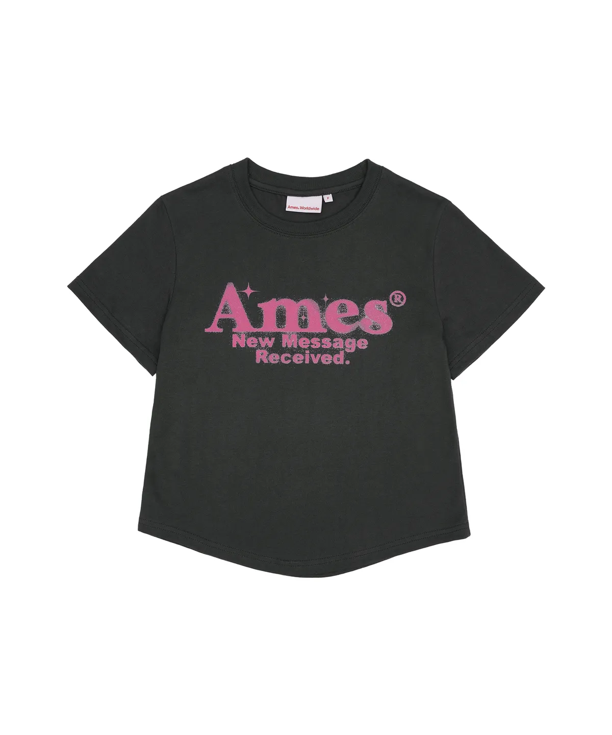 💖韓國暢銷品牌AMES-WORLDWIDE🆕新品上架 美式復古修身圓弧下擺短版 T-shirt(5色)