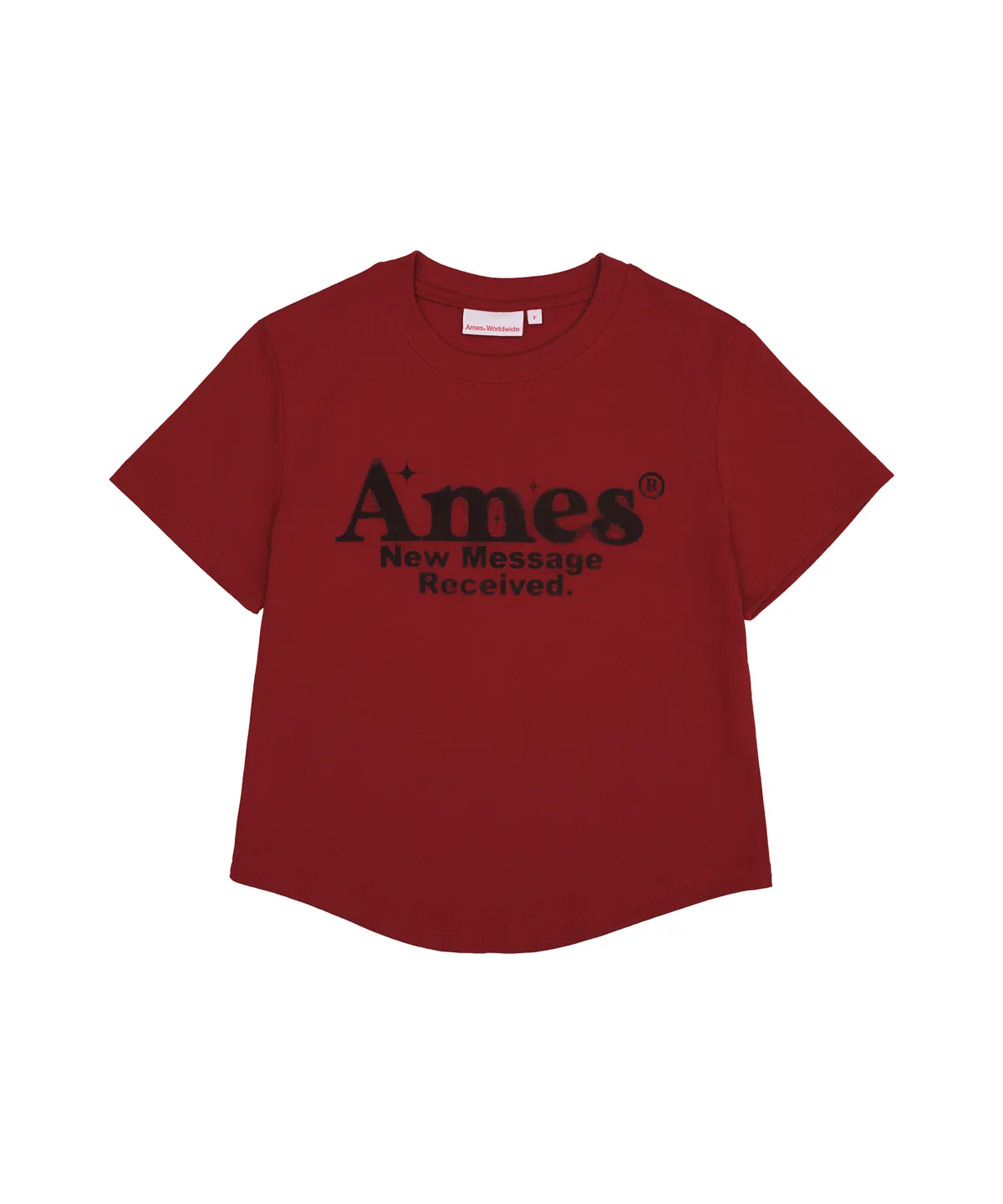 💖韓國暢銷品牌AMES-WORLDWIDE🆕新品上架 美式復古修身圓弧下擺短版 T-shirt(5色)