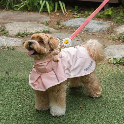 韓國BAILEY💖【梨花娘總代理】可充電貓咪狗狗寵物照明硅膠LED燈三段式牽繩項圈掛飾 韓國連線