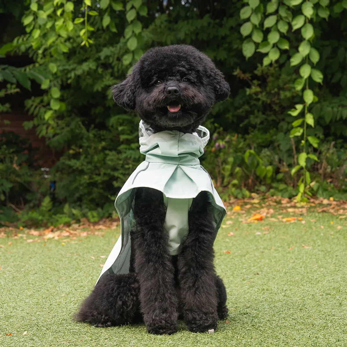 韓國🐾BAILEY💧【梨花娘總代理】新品上架💕貼心可透明帽沿輕薄防水安全反光設計寵物雨衣(3色)