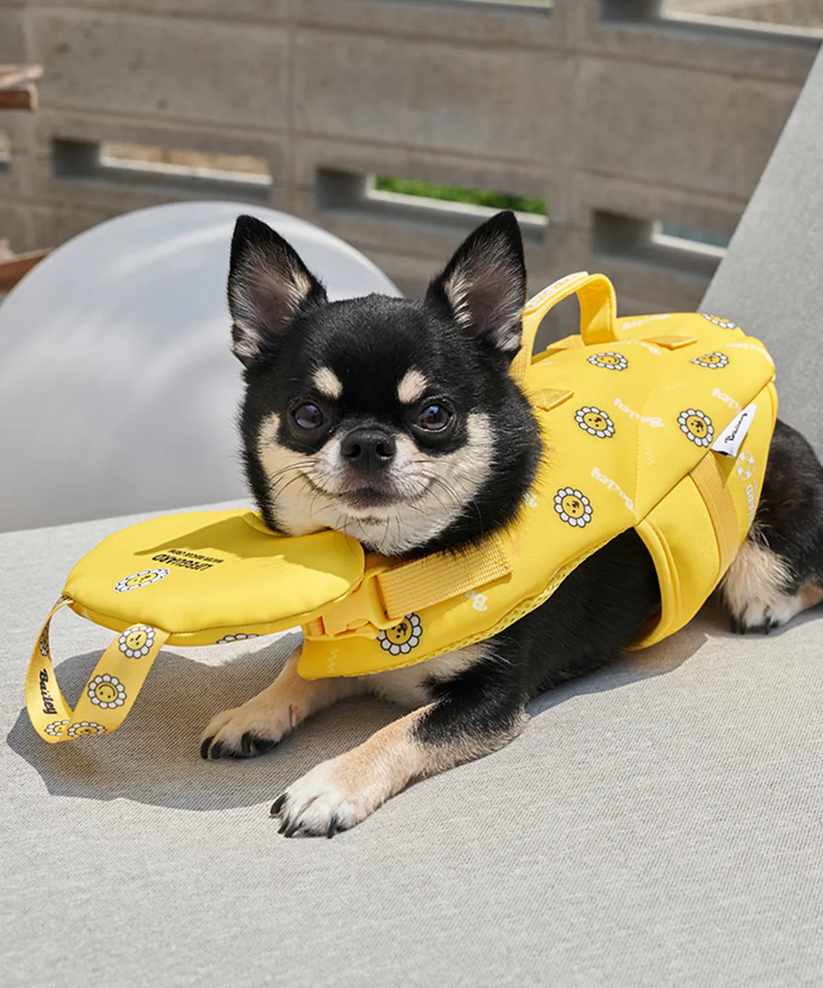 韓國新品上架【梨花娘總代理】🐾BAILEY PET🐶夏日高浮力清涼透氣笑臉花朵寵物救生漂浮泳衣(4色)