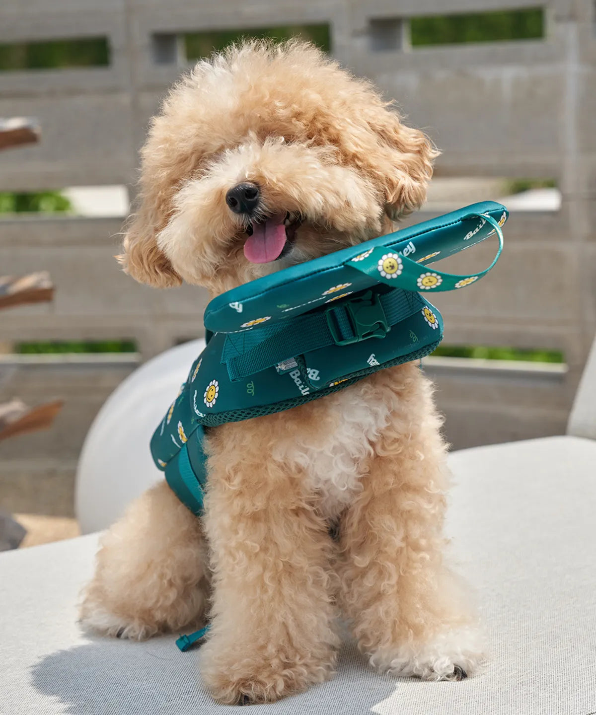 韓國新品上架【梨花娘總代理】🐾BAILEY PET🐶夏日高浮力清涼透氣笑臉花朵寵物救生漂浮泳衣(4色)