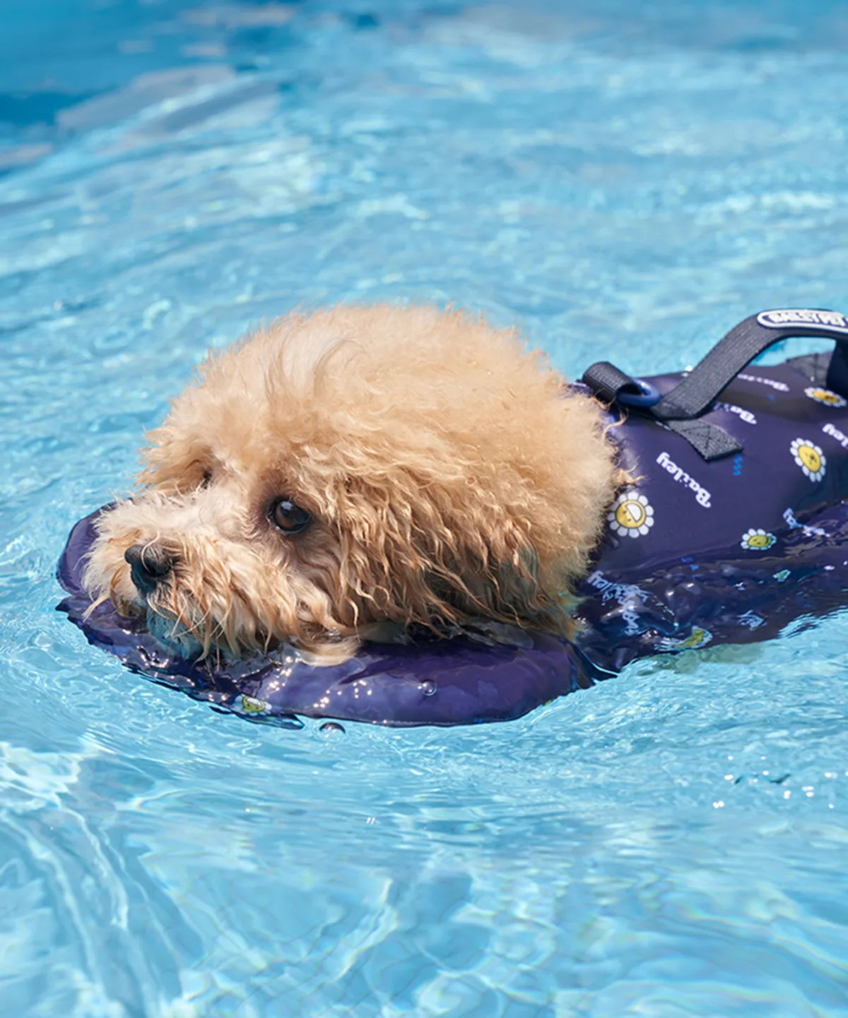 韓國新品上架【梨花娘總代理】🐾BAILEY PET🐶夏日高浮力清涼透氣笑臉花朵寵物救生漂浮泳衣(4色)