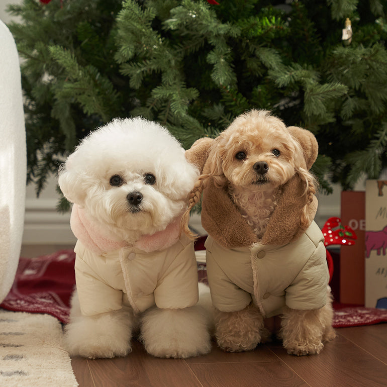 新品上架【梨花娘總代理】🐾BAILEY 🐶秋冬新品 小熊連帽毛球防潑水鋪棉寵物外套(2色) 寵愛禮物