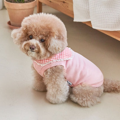 韓國新品上架【梨花娘總代理】🐾BAILEY 🐶秋冬新品 韓系溫小公主格子領蕾絲邊刺繡寵物服飾(3色)