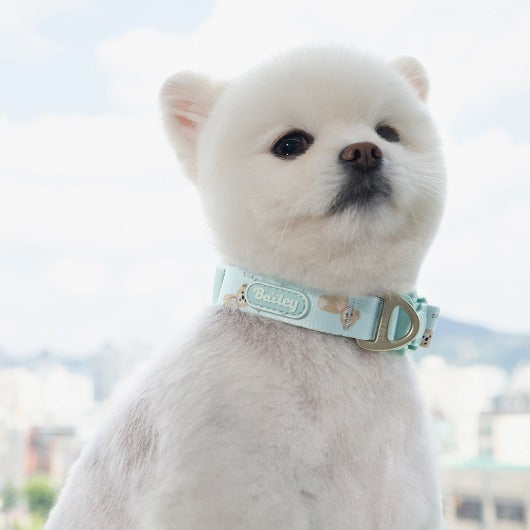 韓國新品上架【梨花娘總代理】🐾BAILEY 🐶秋冬新品 馬卡龍柔軟色系小熊圖案簡易款寵物項圈(3色)