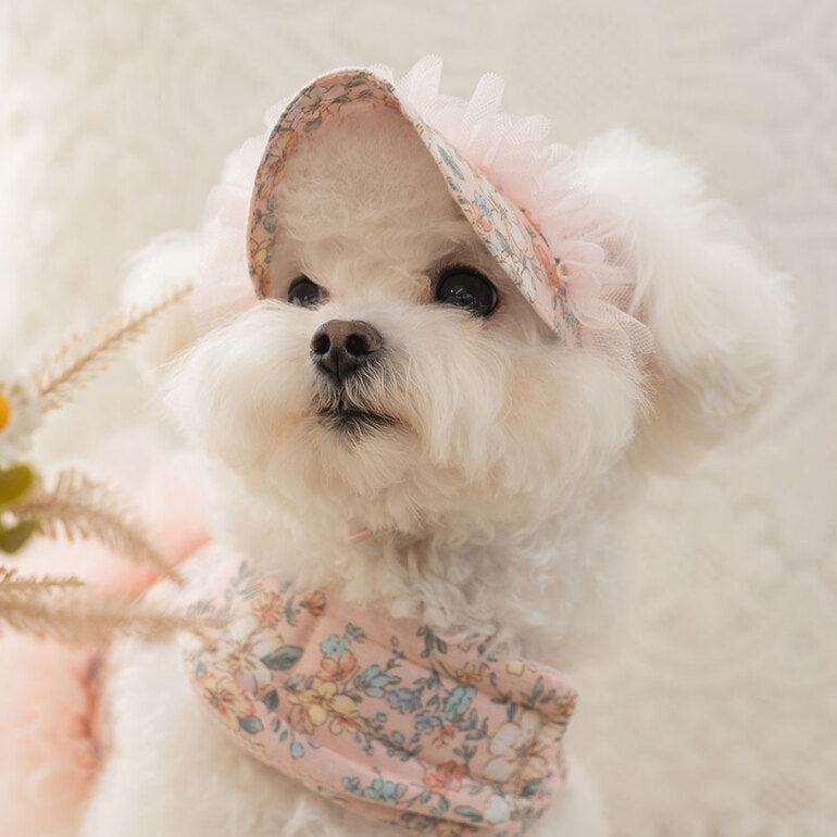 韓國新品上架【梨花娘總代理】🐾BAILEY 🐶新品 溫柔蕾絲荷葉法式小碎花寵物蓬蓬裙+牽引繩(2色)