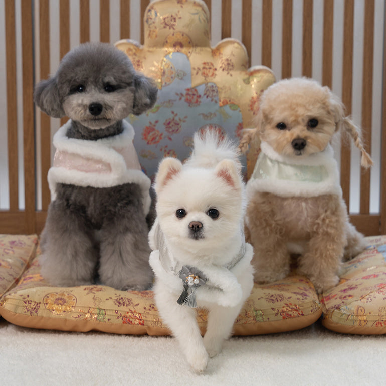 【梨花娘總代理】🐾BAILEY 🐶韓國雪花保暖鋪棉寵物宮廷刺繡棉背心(可另購耳罩(3色))