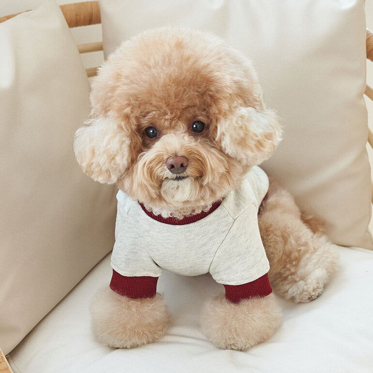 韓國新品上架【梨花娘總代理】🐾BAILEY 🐶秋冬新品 韓系潮流聯名休閒棉質寵物服飾(3色)