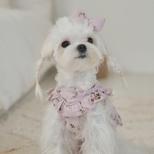韓國新品上架【梨花娘總代理】🐾BAILEY 🐶秋冬新品 親膚純棉荷葉邊復古小碎花寵物服飾(2色)