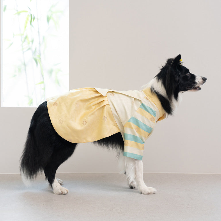 韓國新品上架【梨花娘總代理】🐾BAILEY 🐶秋冬新品 皇室公主刺繡百褶裙寵物韓服(2色)