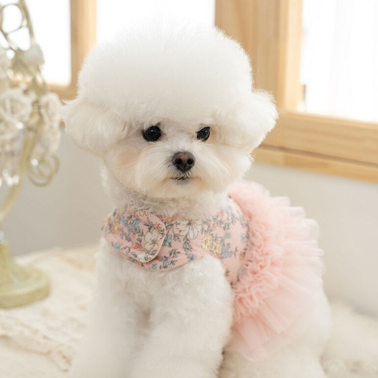 韓國新品上架【梨花娘總代理】🐾BAILEY 🐶新品 溫柔蕾絲荷葉法式小碎花寵物蓬蓬裙+牽引繩(2色)