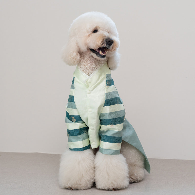 韓國新品上架【梨花娘總代理】🐾BAILEY 🐶秋冬新品 皇室尊貴刺繡流蘇寵物韓服(4色)