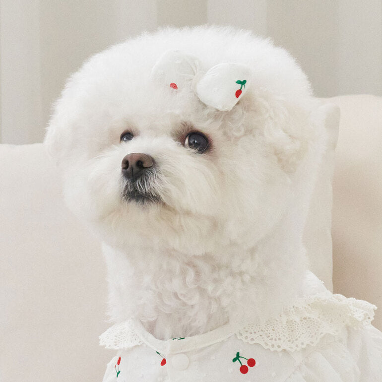 韓國新品上架【梨花娘總代理】🐾BAILEY 🐶韓系甜美可愛蝴蝶結鍛帶寵物髮夾(7色)