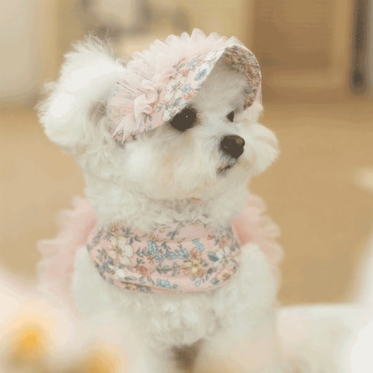 韓國新品上架【梨花娘總代理】🐾BAILEY 🐶新品 溫柔蕾絲荷葉法式小碎花寵物蓬蓬裙+牽引繩(2色)