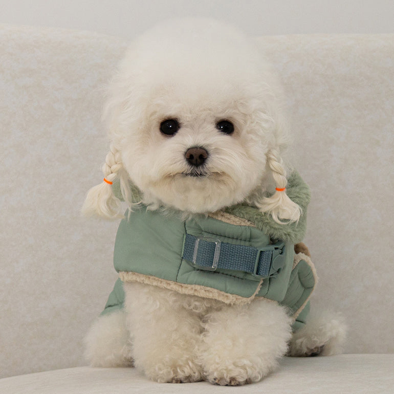 🔥新品上架【梨花娘總代理】🐈‍⬛BAILEY 泰迪熊口袋圖案防風鋪棉寵物服飾(4色) 寶貝禮物