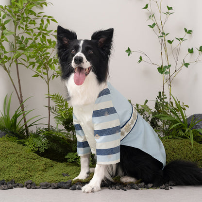 韓國新品上架【梨花娘總代理】🐾BAILEY 🐶秋冬新品 皇室尊貴刺繡流蘇寵物韓服(4色)