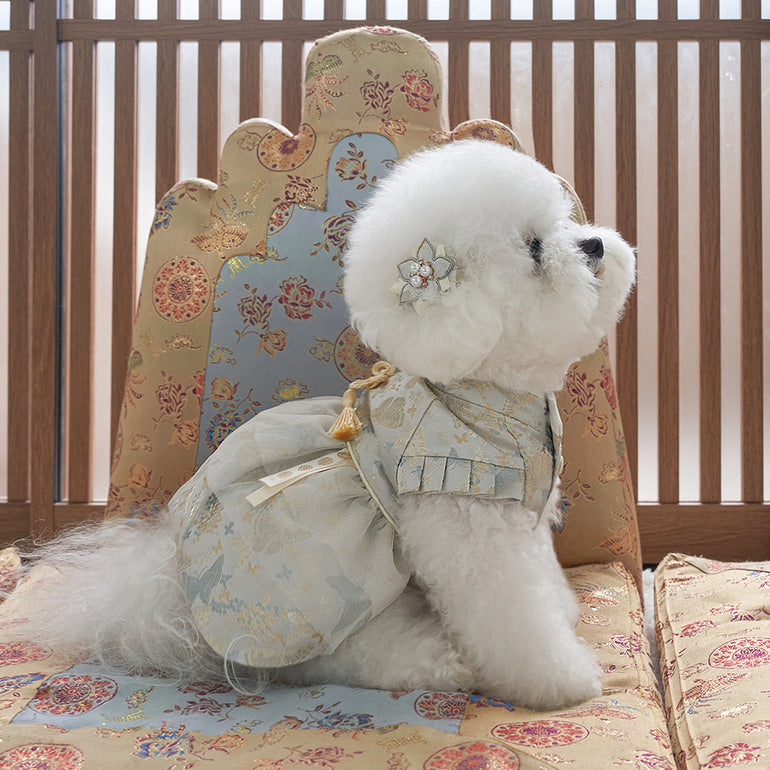 新品上架【梨花娘總代理】🐾韓國BAILEY 🐶秋冬新品 🧨新年編織結寶貝寵物掛福袋香包韓服(2色)