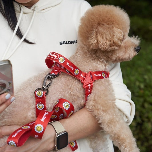 韓國新品上架【梨花娘總代理】🐾BAILEY 🐶秋冬新品 Daisy 雛菊亮色花朵微笑寵物胸背帶(4色)