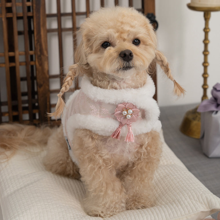 【梨花娘總代理】🐾BAILEY 🐶韓國雪花保暖鋪棉寵物宮廷刺繡棉背心(可另購耳罩(3色))