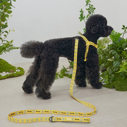 韓國新品上架【梨花娘總代理】🐾BAILEY 🐶秋冬新品 飽合亮色花朵微笑寵物牽繩(4色)