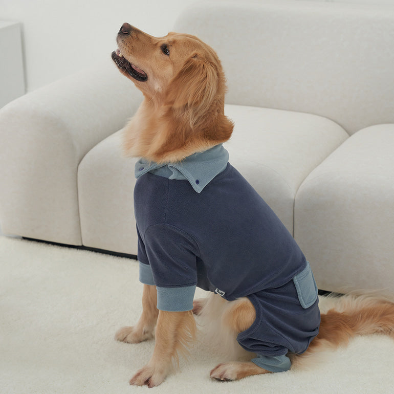 韓國新品上架【梨花娘總代理】🐾BAILEY 🐶秋冬新品 領口釦環設計一件式保暖細絨毛衣寵物服飾(3色)