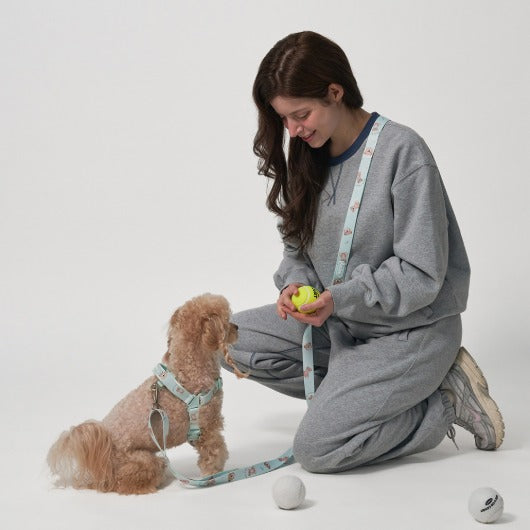 韓國新品上架【梨花娘總代理】🐾BAILEY 🐶 微笑花朵可愛小熊高機能解放雙手寵物牽引繩(7色)