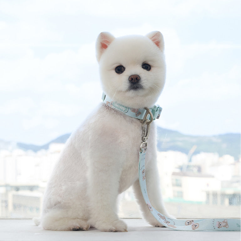 韓國新品上架【梨花娘總代理】🐾BAILEY 🐶秋冬新品 馬卡龍柔軟色系小熊圖案寵物牽繩(3色)