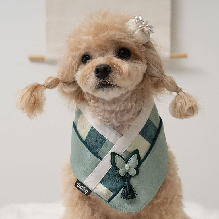 韓國新品上架【梨花娘總代理】🐾BAILEY 🐶秋冬新品 韓國皇室蝴蝶流蘇精緻韓服領巾(4色)