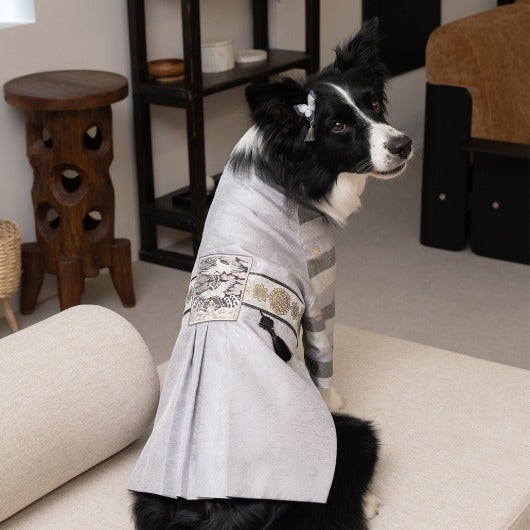 韓國新品上架【梨花娘總代理】🐾BAILEY 🐶秋冬新品 皇室尊貴刺繡流蘇寵物韓服(4色)