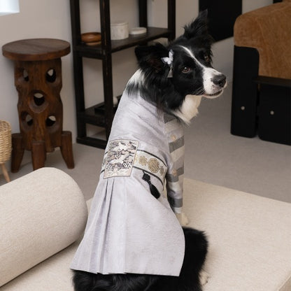 韓國新品上架【梨花娘總代理】🐾BAILEY 🐶秋冬新品 皇室尊貴刺繡流蘇寵物韓服(4色)