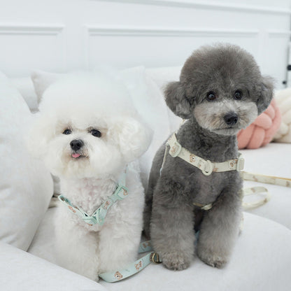 韓國新品上架【梨花娘總代理】🐾BAILEY 🐶秋冬新品 馬卡龍柔軟色系小熊圖案寵物胸背帶(3色)