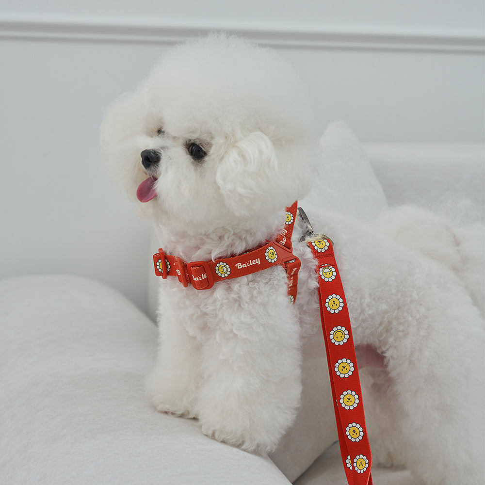 韓國新品上架【梨花娘總代理】🐾BAILEY 🐶秋冬新品 Daisy 雛菊亮色花朵微笑寵物胸背帶(4色)