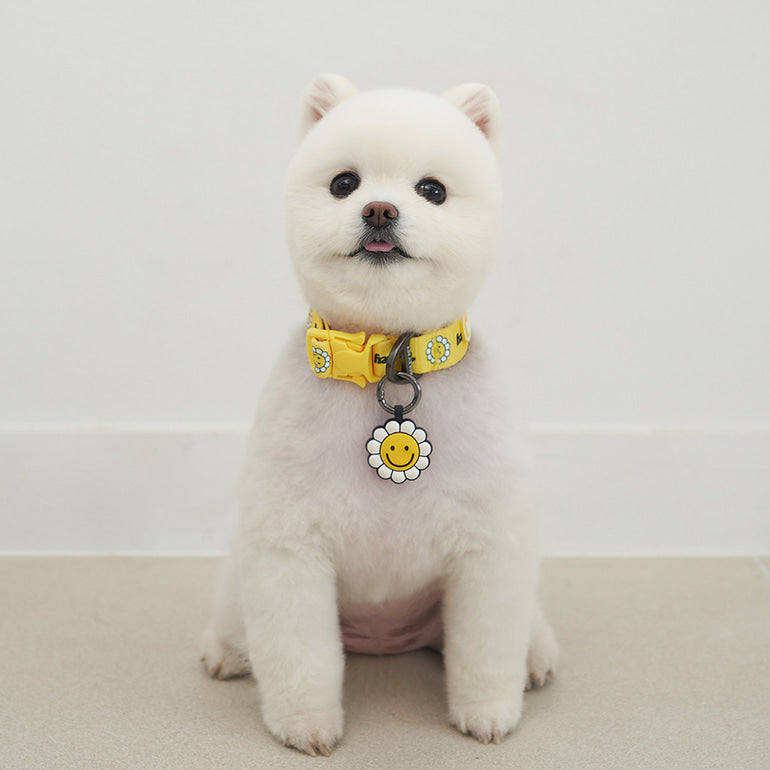 韓國新品上架【梨花娘總代理】🐾BAILEY 🐶秋冬新品 飽合亮色花朵微笑簡易款寵物項圈(4色)
