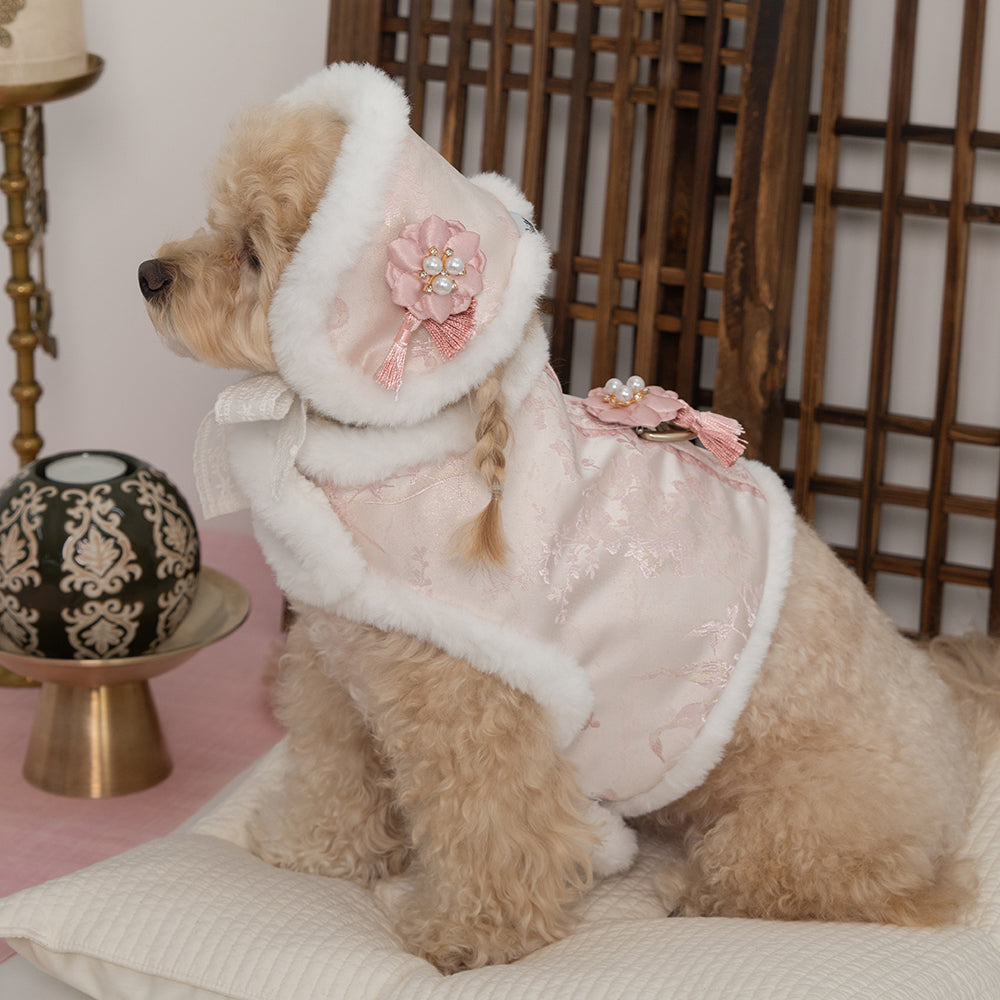 【梨花娘總代理】🐾BAILEY 🐶韓國雪花保暖鋪棉寵物宮廷刺繡棉背心(可另購耳罩(3色))