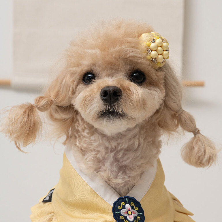 韓國新品上架【梨花娘總代理】🐾BAILEY 🐶韓系華麗宮庭風珍珠流蘇寵物髮夾(9色)