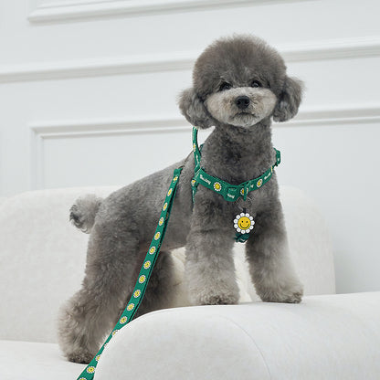 韓國新品上架【梨花娘總代理】🐾BAILEY 🐶秋冬新品 Daisy 雛菊亮色花朵微笑寵物胸背帶(4色)